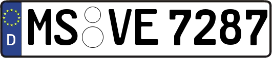 MS-VE7287