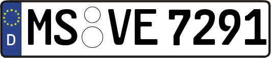 MS-VE7291