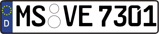 MS-VE7301