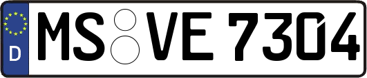 MS-VE7304