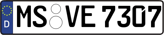 MS-VE7307
