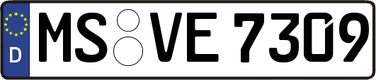 MS-VE7309