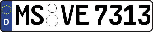 MS-VE7313