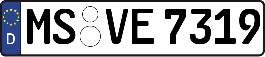 MS-VE7319