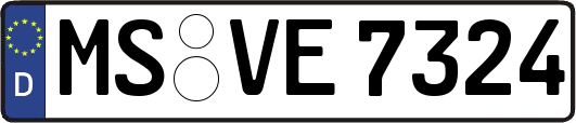 MS-VE7324