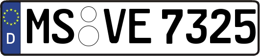MS-VE7325