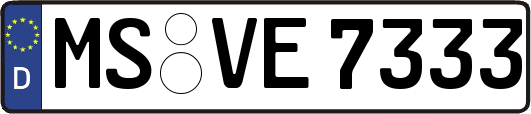 MS-VE7333