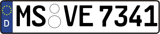 MS-VE7341
