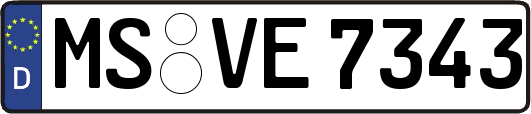 MS-VE7343