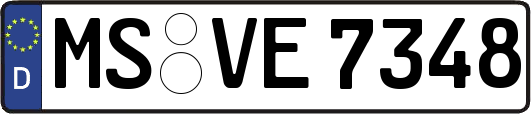 MS-VE7348