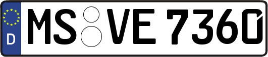 MS-VE7360