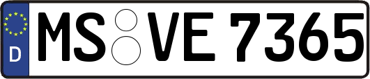 MS-VE7365