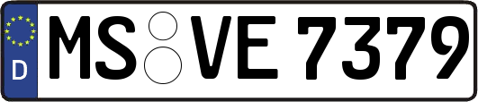 MS-VE7379