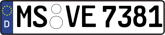 MS-VE7381