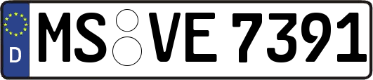 MS-VE7391