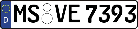 MS-VE7393