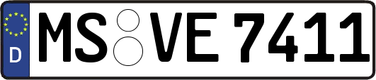 MS-VE7411