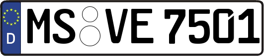 MS-VE7501