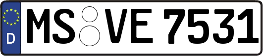 MS-VE7531