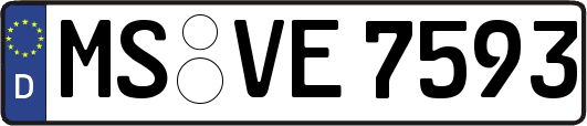 MS-VE7593