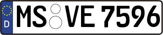 MS-VE7596