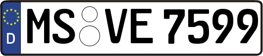 MS-VE7599