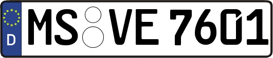 MS-VE7601