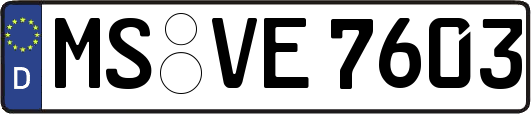 MS-VE7603