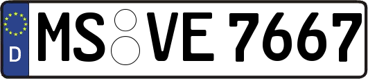 MS-VE7667