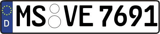 MS-VE7691