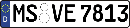 MS-VE7813