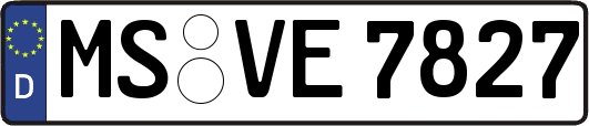 MS-VE7827