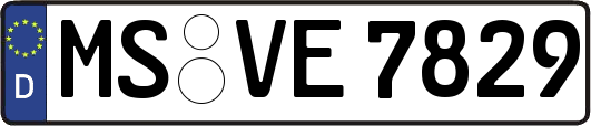 MS-VE7829