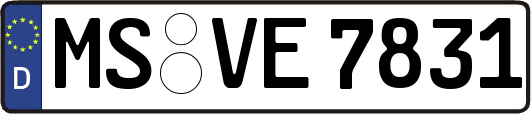 MS-VE7831