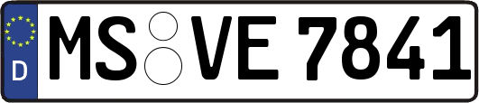 MS-VE7841