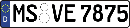 MS-VE7875