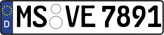 MS-VE7891