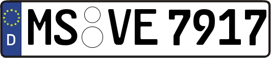 MS-VE7917