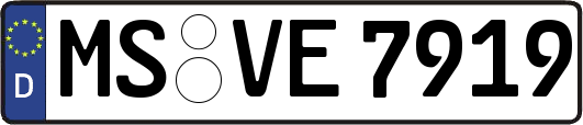 MS-VE7919