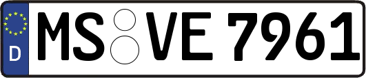 MS-VE7961