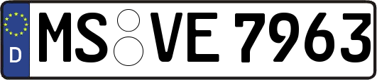 MS-VE7963