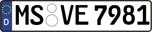 MS-VE7981