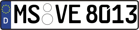 MS-VE8013