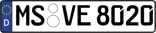 MS-VE8020