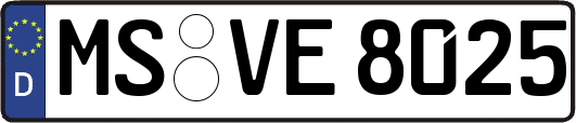 MS-VE8025