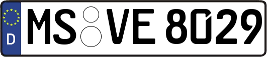 MS-VE8029