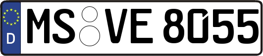 MS-VE8055