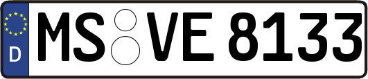 MS-VE8133