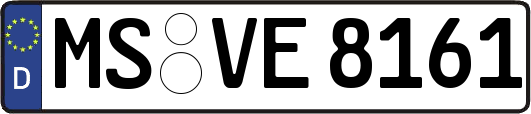 MS-VE8161