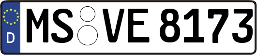 MS-VE8173